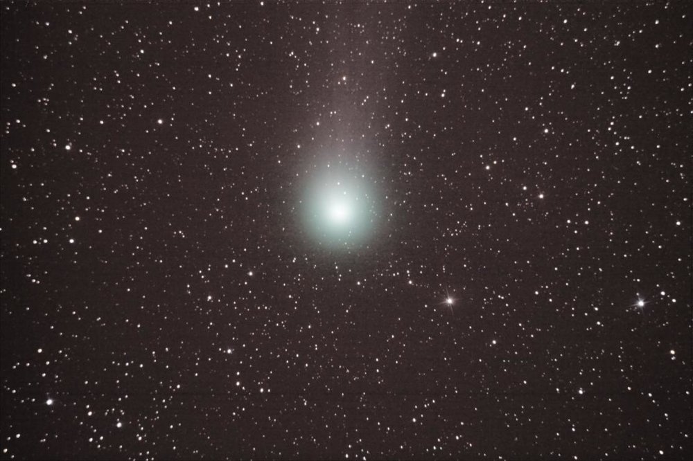 Lovejoy_11_02_15.thumb.jpg.18d75e805fc14aa26b4b5fa7a8766dc6.jpg