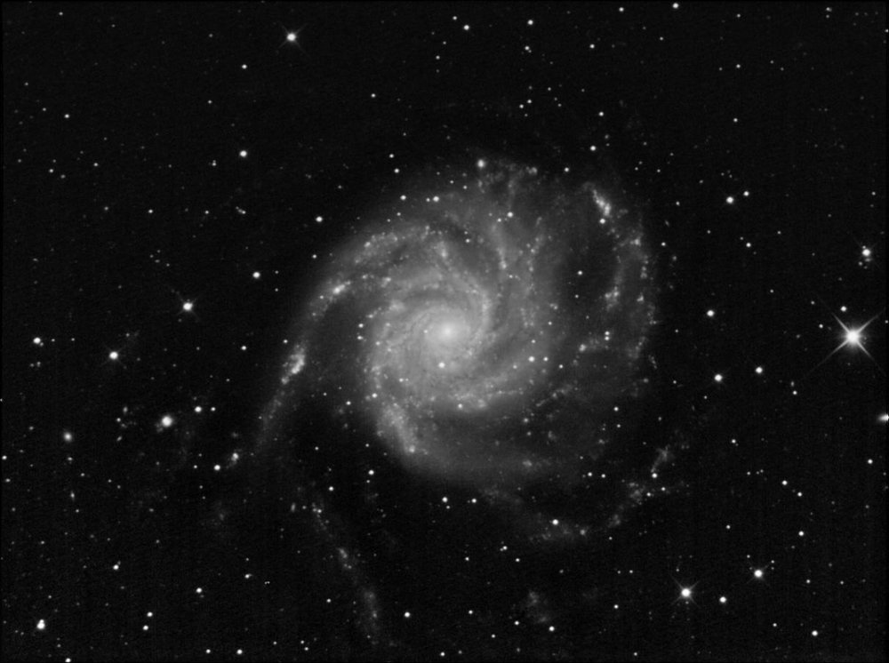M101-02-06-2008-1-1280.thumb.jpg.f5e59177ee84b1d5015d79d8c4e3c6b9.jpg