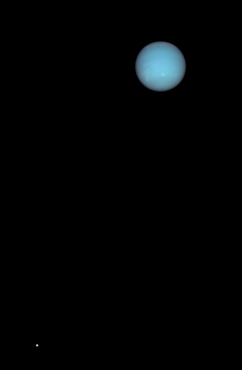 Neptune.thumb.jpg.6e0a882ccce01e11cce4345f2886ffcf.jpg
