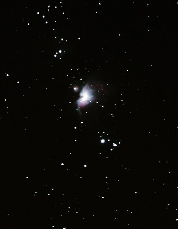 m42cropext.thumb.jpg.195720ebc44affe6e797ae7f1ba39c3c.jpg