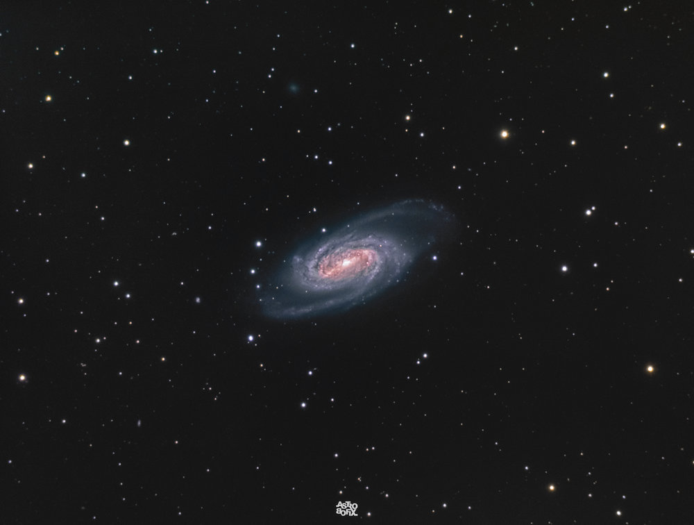 ngc2903-rvb3.thumb.jpg.b1e4c55dec805dddc6fd8dca46830ce8.jpg