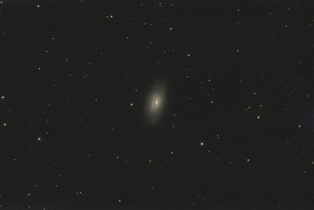 finale traitée small.jpg