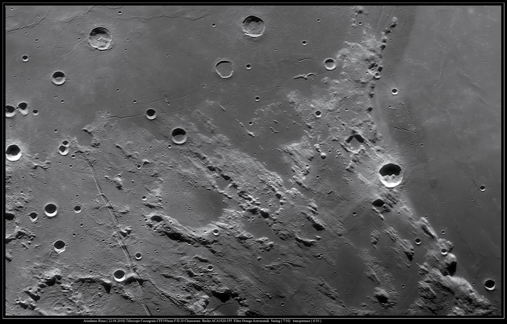 Ariadaeus Rima copie..jpg