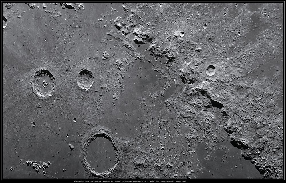 Rima Hadley ( 24.04.2018).jpg