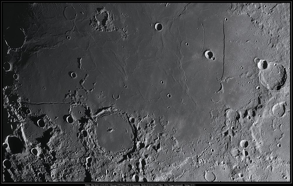 Pitatus, Mur Droit ( 24.04.2018 ).jpg