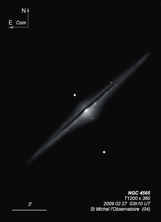 NGC 4565  TOHP1200  BL+ OHP.jpg