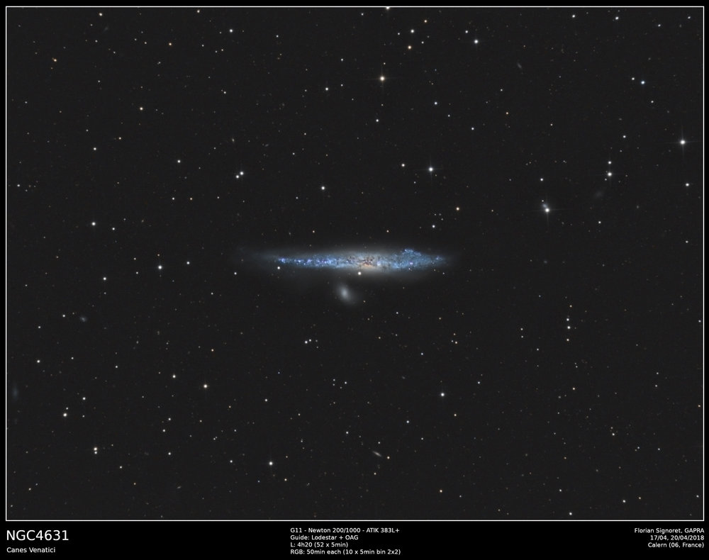 NGC4631-Calern-2018-04-17.jpg