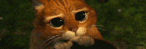 cat-yeses.gif.a7dad65aa27571491d9be97f348f8e55.gif