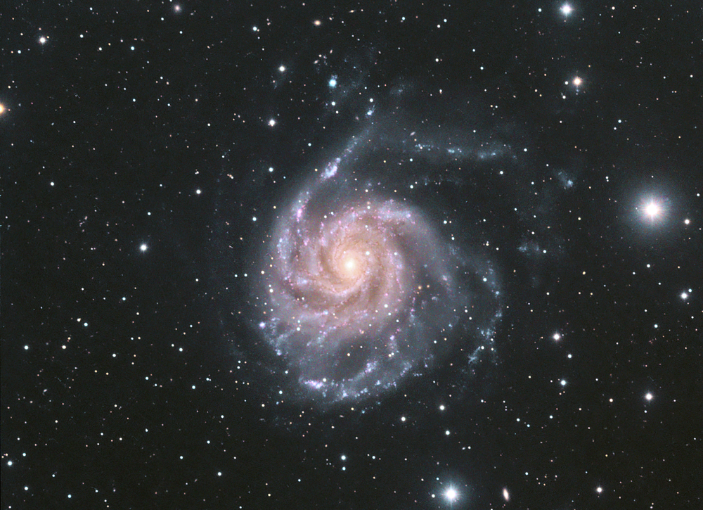 M101-LRVB-1-cs5-2-FINAL-2.png