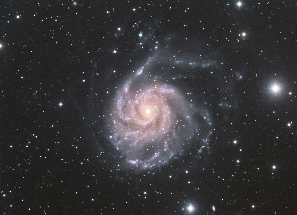 M101-LRVB-1-cs5-2-FINAL.png