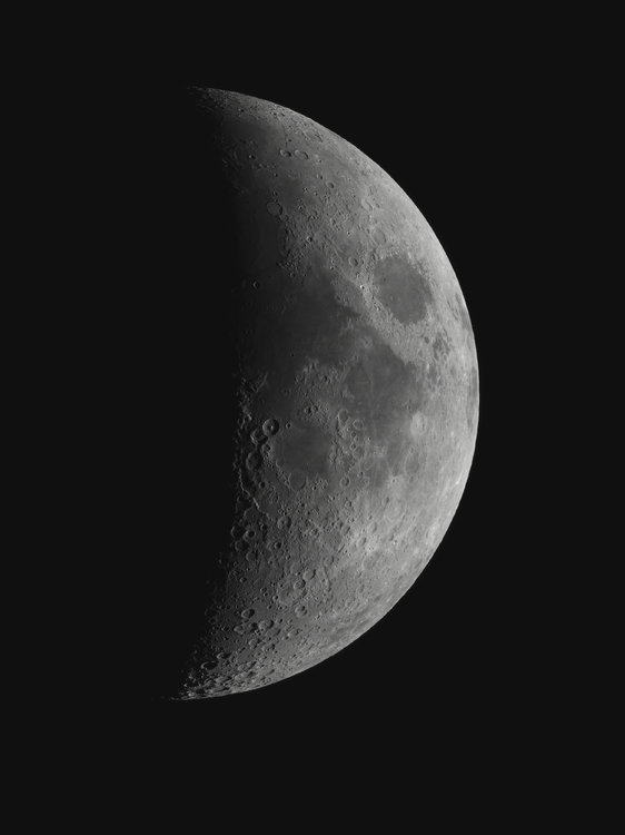 Mosa-newton-18-06-2018.jpg