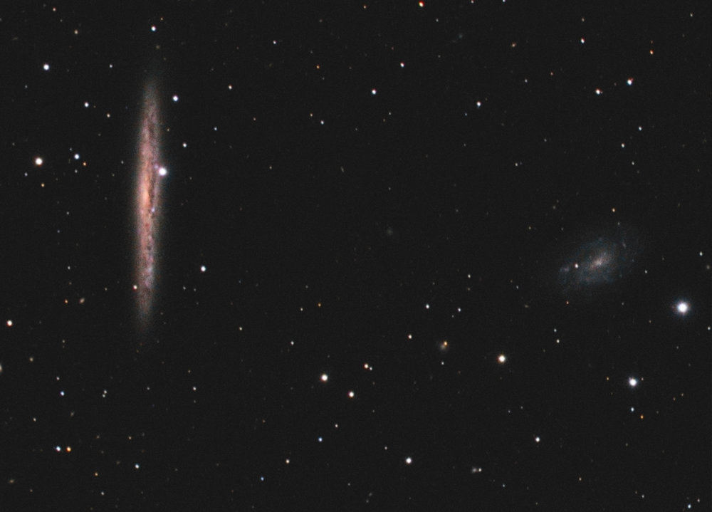 ngc4517-ngc4517A-C8-red0.5-atik16hr-LRVB-SP-r77.thumb.jpg.ece37bf78c899b3b3a2723507d9c8963.jpg