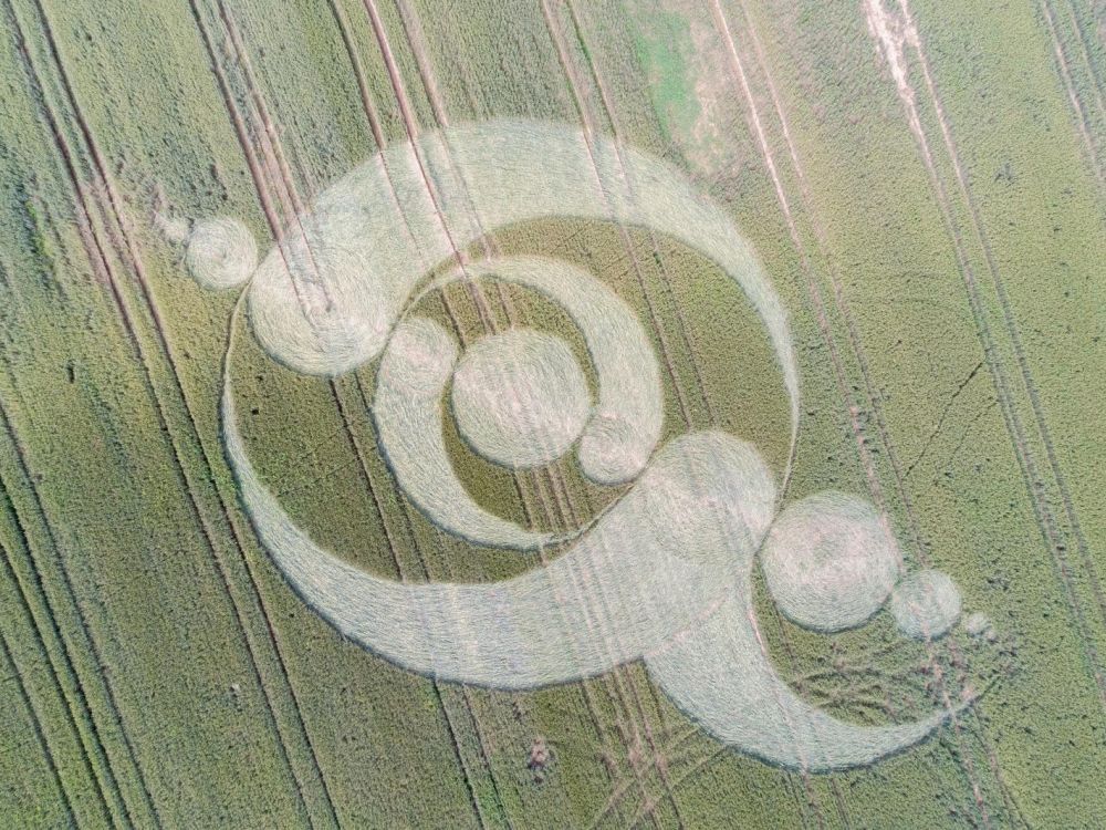 crop-circle-7.jpg.4c1063ba7d2cc177927b2efb08e6acdf.jpg