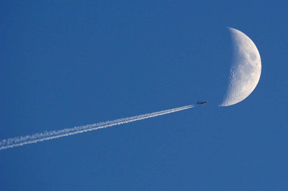 DSC_2368_201_recadré web.jpg