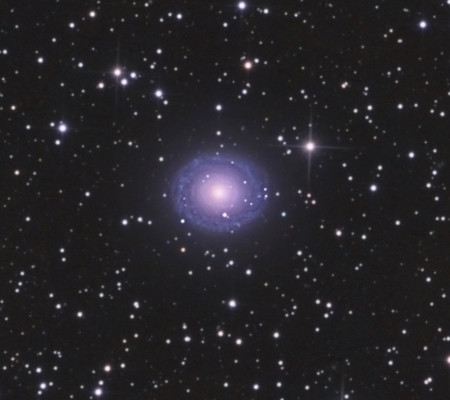 NGC7217-crop.jpg.4286bd8077a2366c72a70e9d8f81bb34.jpg