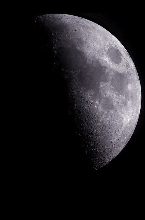 pour fofo REDRESSEE.jpg