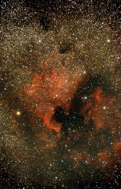 1628481475_NGC7000Tamron200mmBasseDf.thumb.jpg.c9e8e2da29535afcc1ce4f366d80de6a.jpg