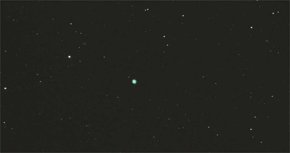 bluesnowball dob.jpg