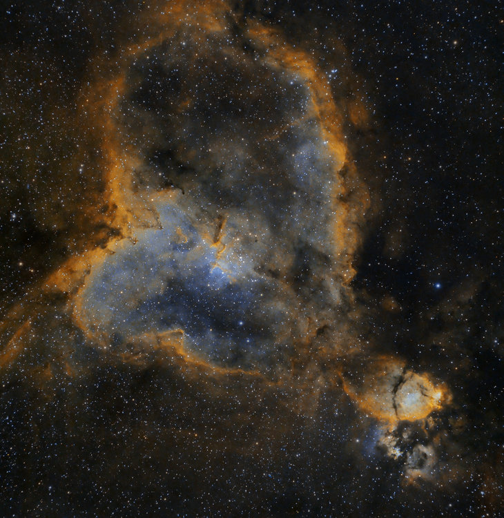 IC1805SHO_DBE.jpg