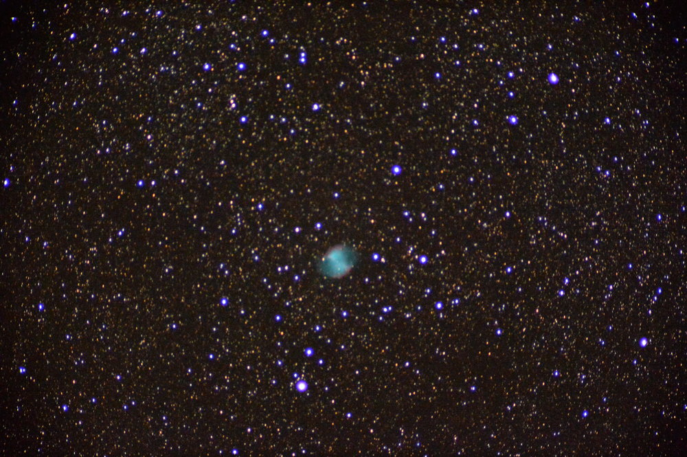 M27_Haltere_5.JPG