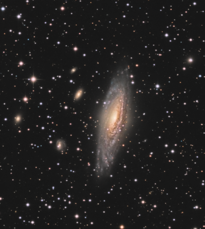 NGC7331_RGB_DBE_bckgrd_photocolor_MLT50_NLDblHisto_colorsat_PS copie_crop Deer.png