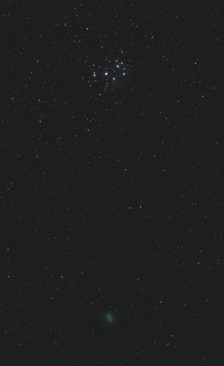 46P-wirtanen-pleiades-20181214-1100D-100mm-f5.6-23x120s-r50-SP.thumb.jpg.24463a074be0c637d6bd7d83763c932c.jpg