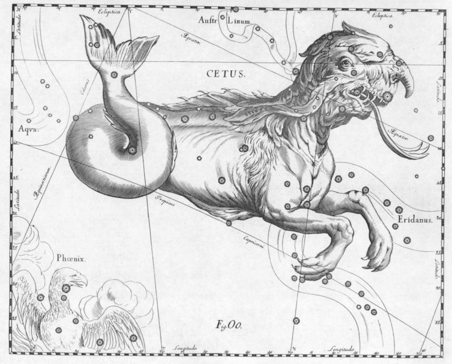 Cetus_Hevelius.thumb.jpg.df9657ea1150b1e86408e1c61b8d90be.jpg