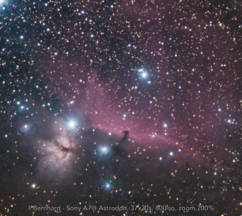 IC434_A7m3_37x30s.thumb.jpg.80448e922caeb7d2598b90a782cc8130.jpg