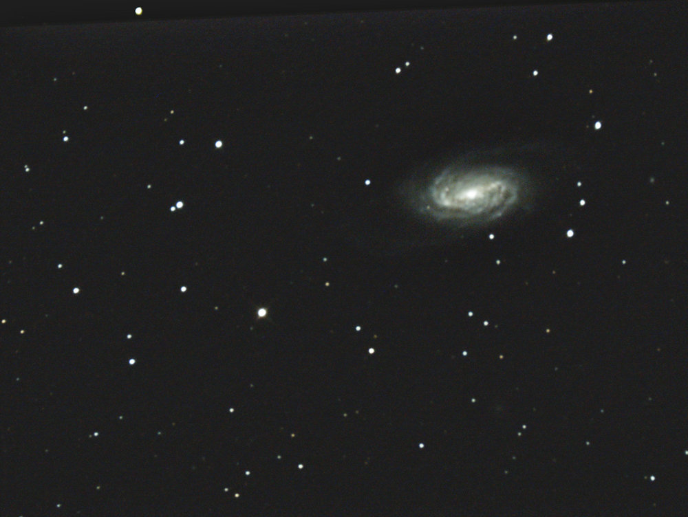 ngc2903.thumb.jpg.b119e6b9da767b10f390f7de62be5f53.jpg