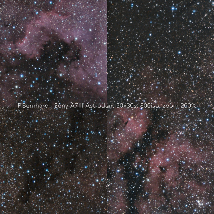 ngc7000_A7m3_30x30s_200pc.thumb.jpg.01d2c4541ff52235ee2d187b17feb322.jpg