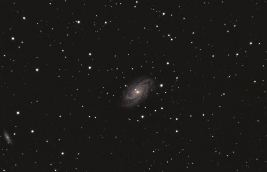 1137678689_NGC2336.jpg.447dca8c11ac08395d249d38e8f3a886.jpg
