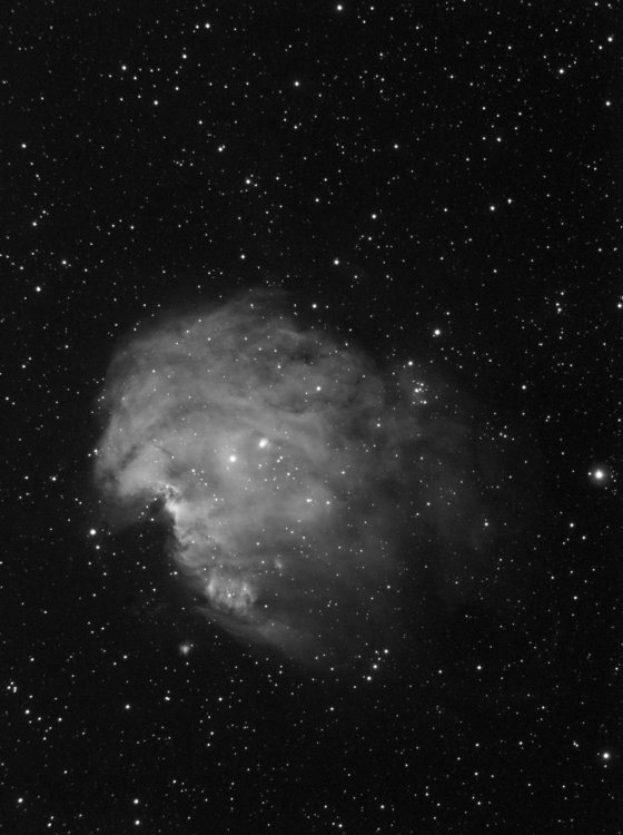 NGC2175_300s_m20C.thumb.jpg.2dcbd5107ad4cc517aff51f6347915e1.jpg