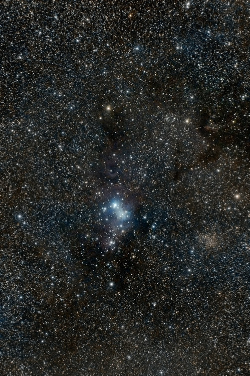 ngc2264_small_2.thumb.jpg.a8760e9a2d39474845db711d0c593eea.jpg