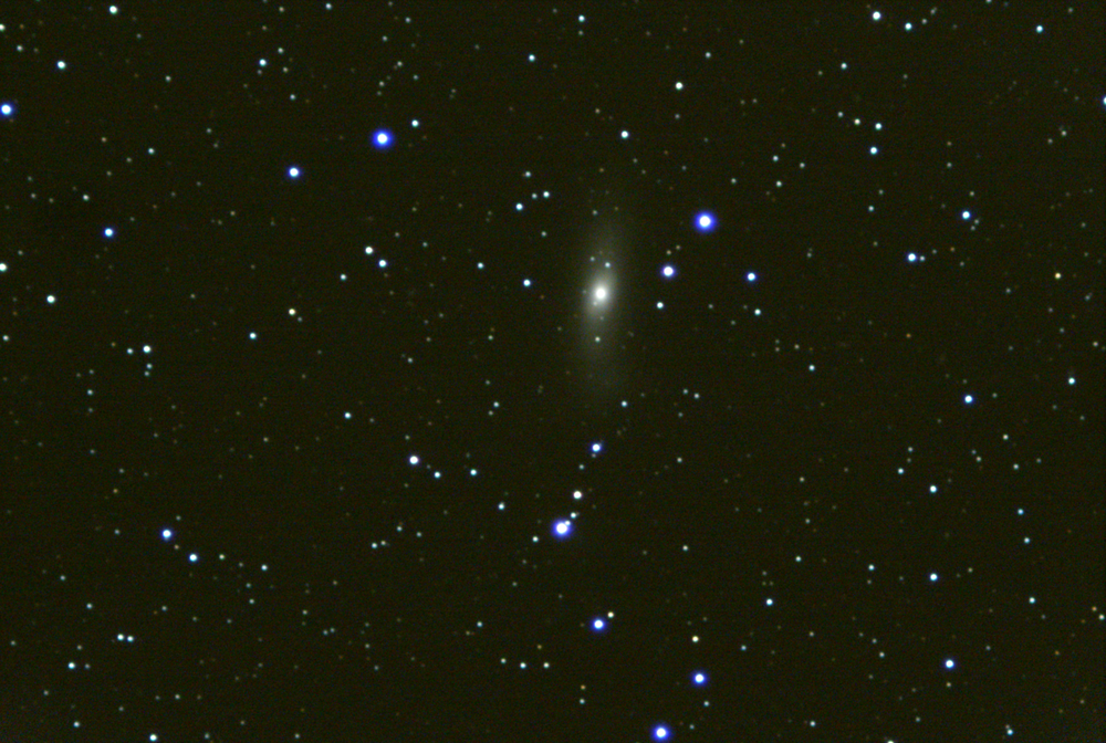 1010343493_NGC1023Stack_20frames_615s.thumb.png.bf184a1813f19d8ab05f4929639aec67.png