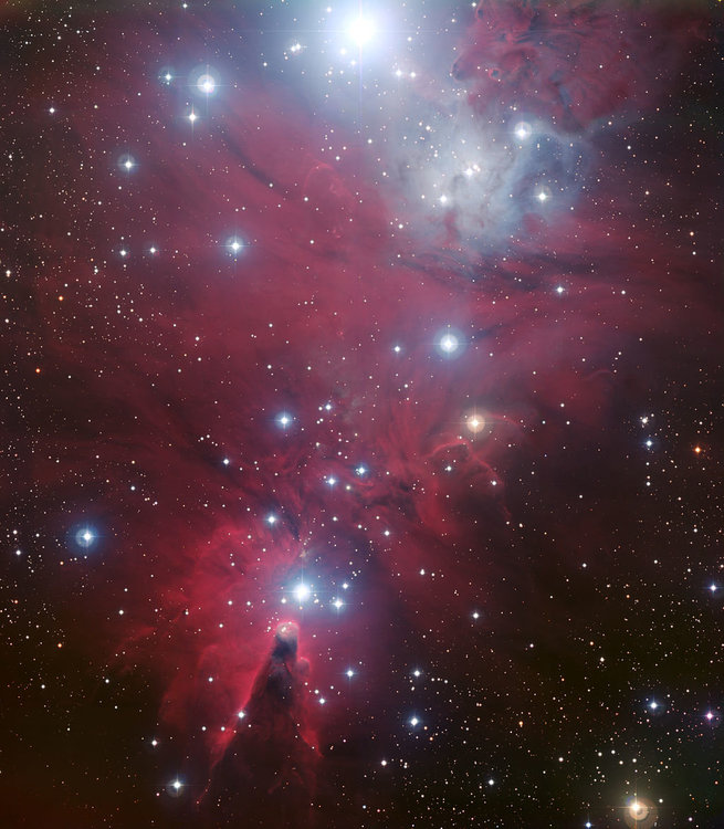 1024px-NGC_2264_by_ESO.thumb.jpg.fd869efee6ba67b320da06e1d0c0b33f.jpg
