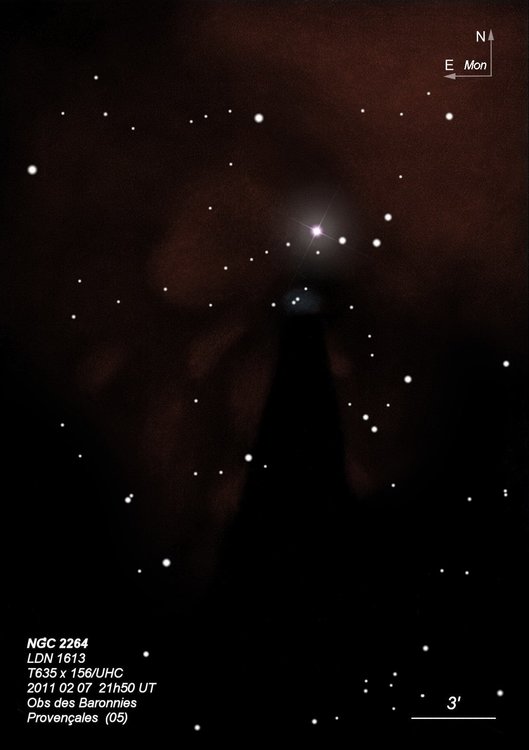 NGC 2264  T635  BL 2011 02 04.jpg