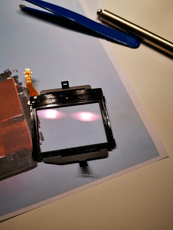 2019-02-20 00.39.32.jpg