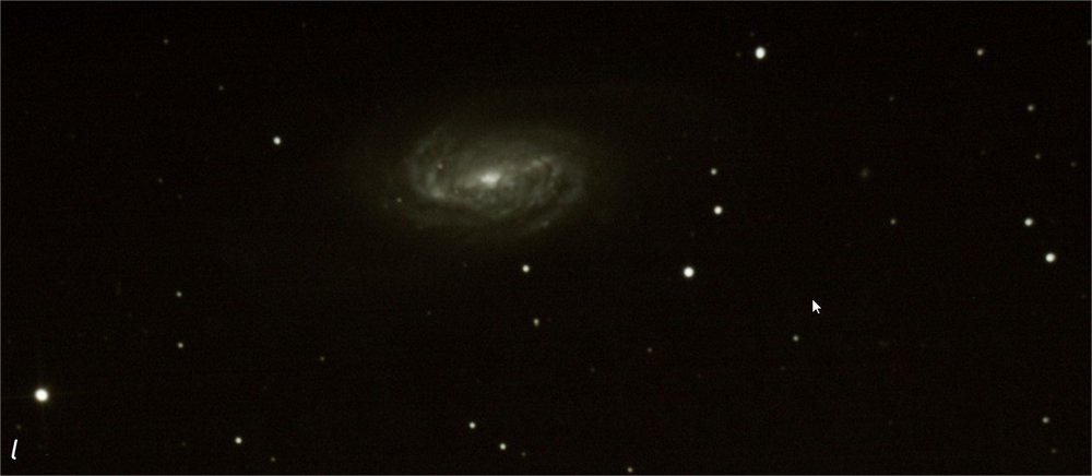 ngc 2903 fin.jpg