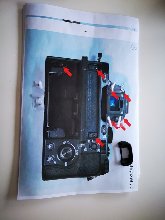 2019-02-19 16.21.43.jpg