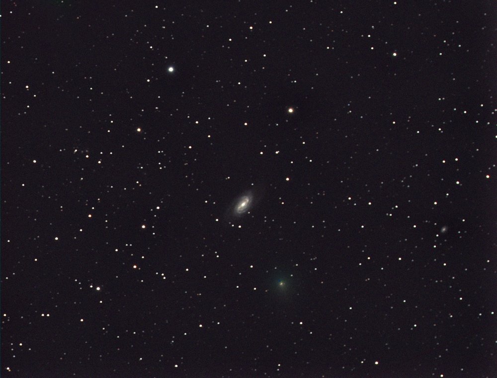 213911901_comteC2018Y1Iwamoto-NGC2903.thumb.jpg.ef3c6be13d7268ecdaaa167903e25f59.jpg