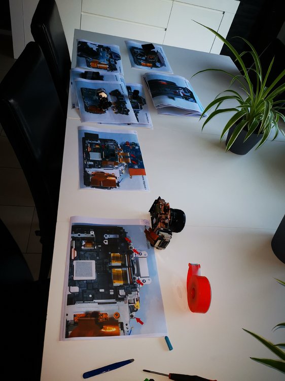 2019-02-19 16.56.10.jpg