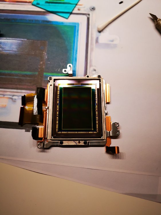 2019-02-19 23.51.48.jpg