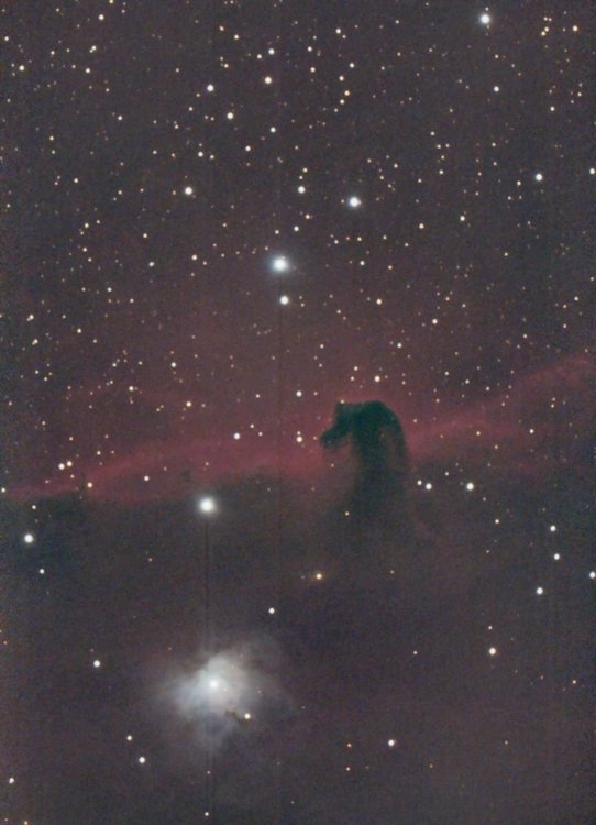 horsehead.jpg