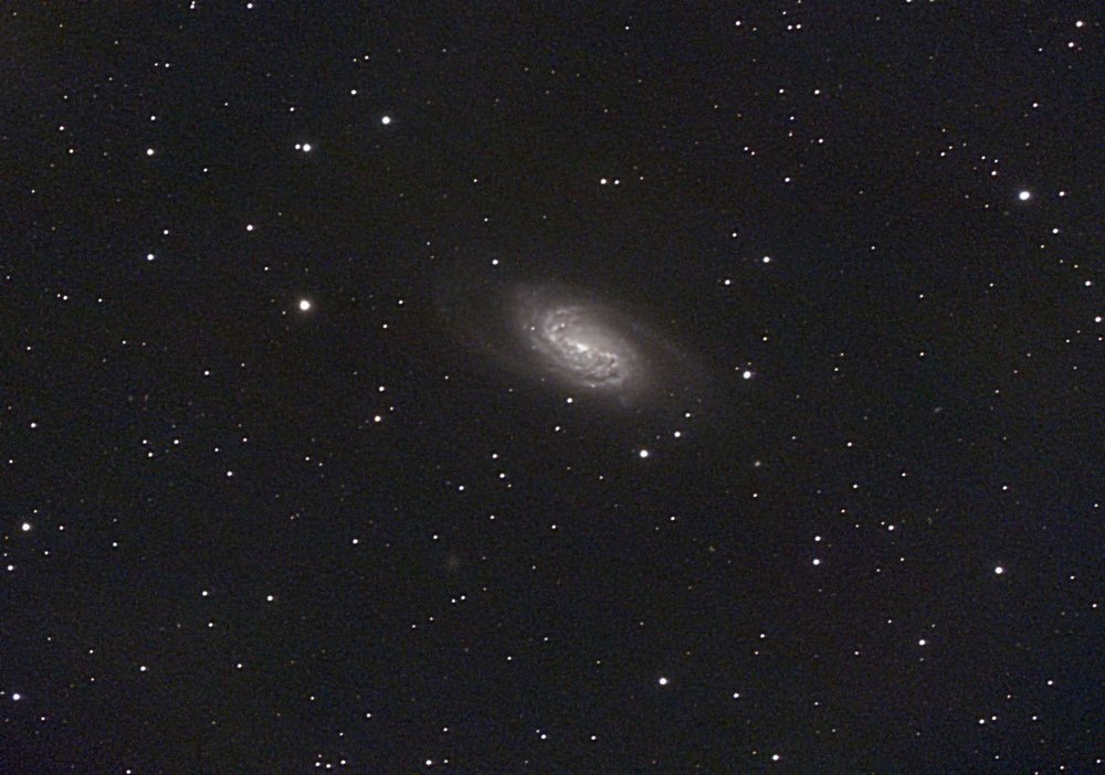 ngc2903.jpg