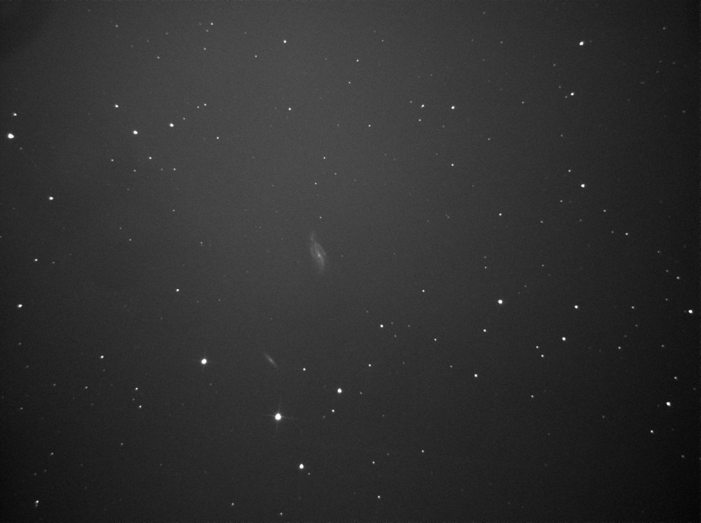 165624441_ngc4088starblast23x10.thumb.jpg.a9ad87d2d70d139e6063a0c3b616e658.jpg