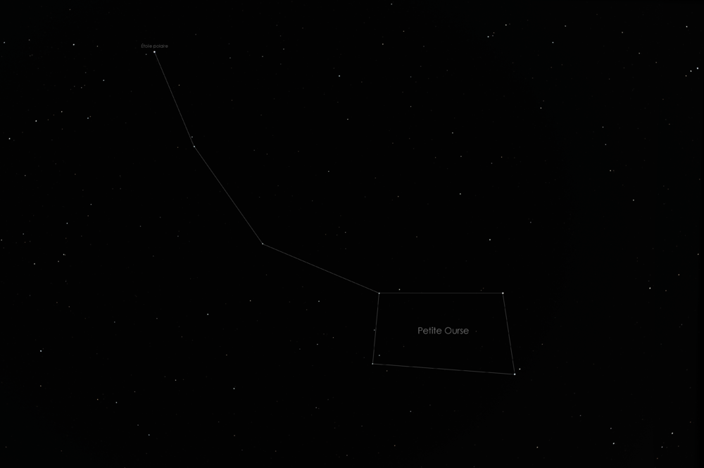 1681556577_PetiteOurse-Nom.thumb.png.95959a57e6e764c68410f78574bd861e.png