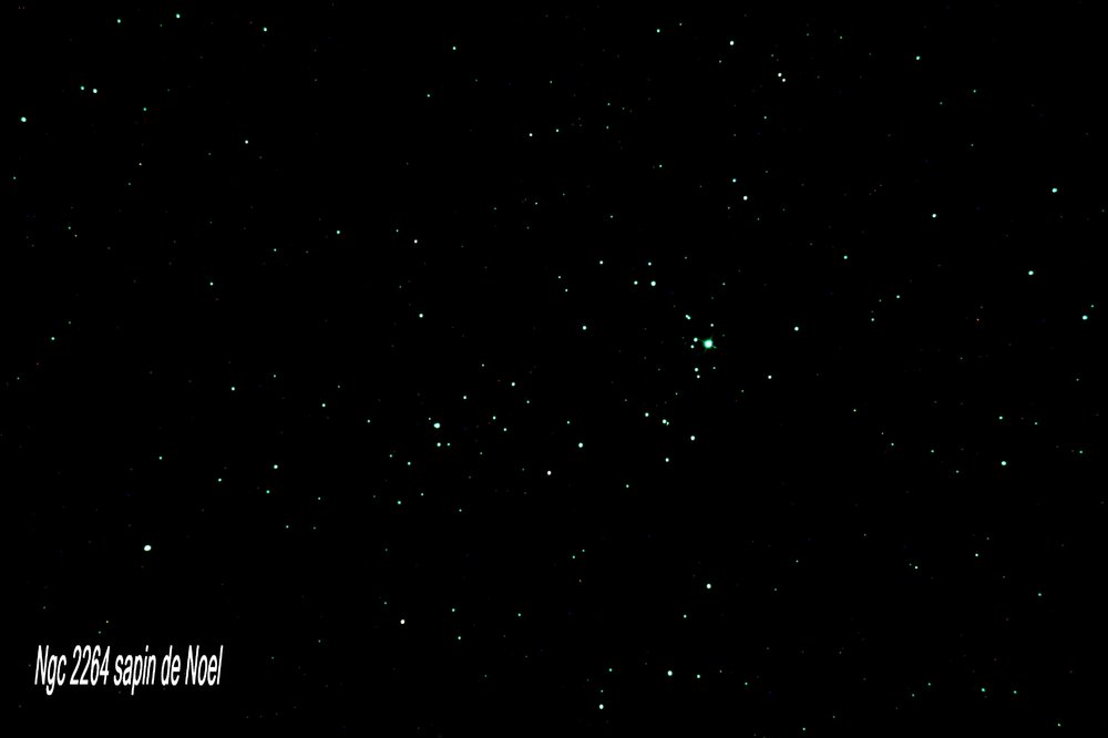 355411575_NGC2264sapindenoelbis.thumb.jpg.11daf957e27c226e24a4984de77e7b52.jpg