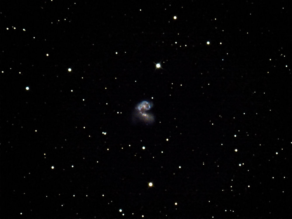 CALDWELL 60 Y 61 NGC 4038 Y 4039 ANTENNAE IAG GX CORVUS 10X25 TSO8+IMX294.jpg