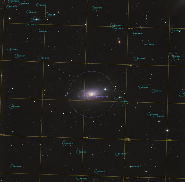 M63_Annotated.jpg