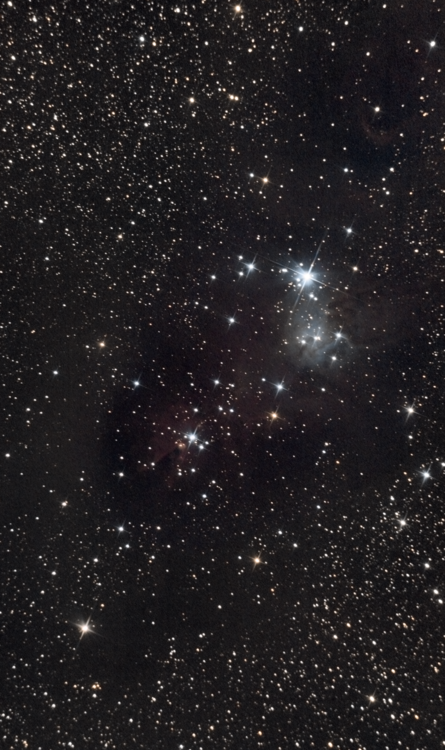 ngc2264_2.thumb.png.657322f7debaf02052ce57f472810dc5.png